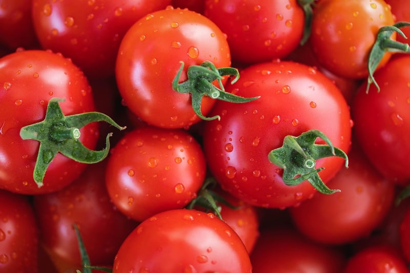 Tomatoes in sunlight